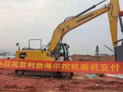 熱烈祝賀重慶客戶第八臺(tái)利勃海爾挖掘機(jī)交付！
