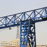 南充大車(chē)行吊起重