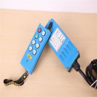 遼寧撫順現(xiàn)貨銷售吊車遙控器