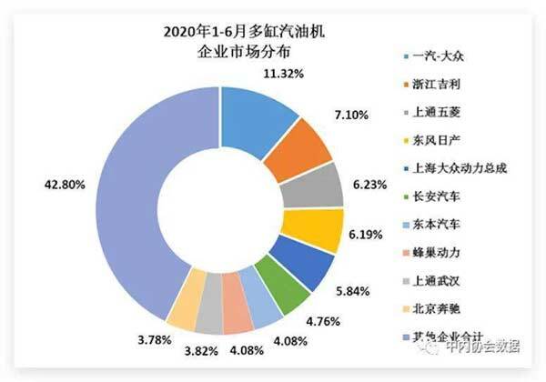 2020年1-6月多缸汽油機(jī)企業(yè)市場(chǎng)分布