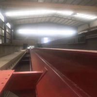 國內認可企業(yè)天津起重機特雷克起重機