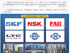 河南勇飛軸承有限公司已加入《起重匯采購指南》！
