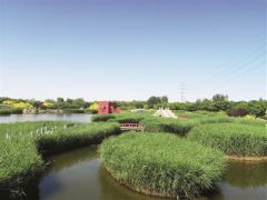 臨港濕地公園：“環(huán)?！薄邦佒怠奔嫒莶⑿?/></a>　　臨港生態(tài)濕地公園　　由天津港保稅區(qū)管委會(huì)作為執(zhí)行機(jī)構(gòu)的亞洲開(kāi)發(fā)銀行貸款項(xiàng)目天津海河河口地區(qū)污染控制與生態(tài)恢復(fù)項(xiàng)目近期完成貸款賬戶(hù)清戶(hù)，其中，濕地生態(tài)恢復(fù)子項(xiàng)目建設(shè)了63公頃臨港生態(tài)濕地公園(一期)，具備污水處理、生態(tài)恢復(fù)和景觀...<a href=