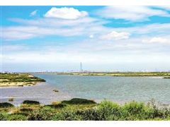 西青區(qū)“西西海”生態(tài)濕地?zé)ㄈ灰恍?/></a>　　西青區(qū)投資2.56億元打造西西海生態(tài)濕地，區(qū)域生態(tài)環(huán)境面貌煥然一新。西西海濕地項(xiàng)目位于獨(dú)流減河左岸，西起陳臺(tái)子泵站，東至津王公路，跨度約9公里，占地10465畝。通過(guò)優(yōu)化調(diào)整原有魚(yú)塘地形地貌，連通水域，建設(shè)凈化處理系統(tǒng)，種植綠色植物...<a href=