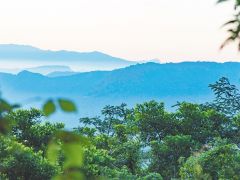海南熱帶雨林國家公園開展一體化監(jiān)測體系試點建設