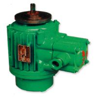 四川起升電機(jī)高品質(zhì)