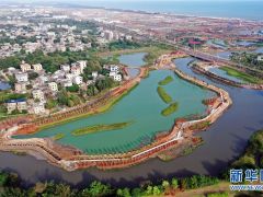 ?？诮瓥|新區(qū)生態(tài)修復(fù)