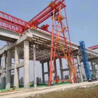 太倉花架門式起重機升降5米，