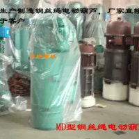MD雙速鋼絲繩電動葫蘆行吊電動葫蘆天吊葫蘆