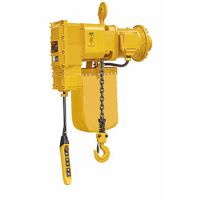 天津起重機(jī)-各種起重機(jī)電動(dòng)葫蘆